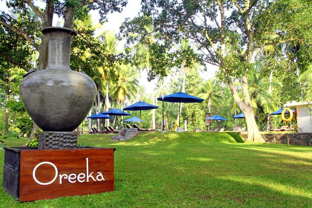 Oreeka - Katunayake Airport Transit Hotels Kültér fotó