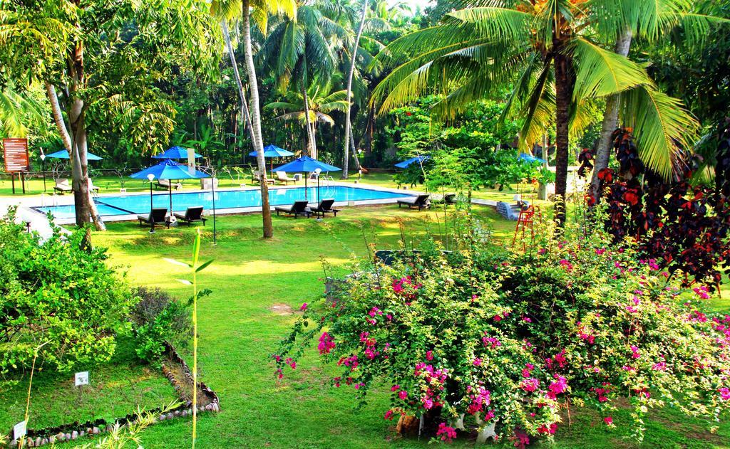 Oreeka - Katunayake Airport Transit Hotels Kültér fotó