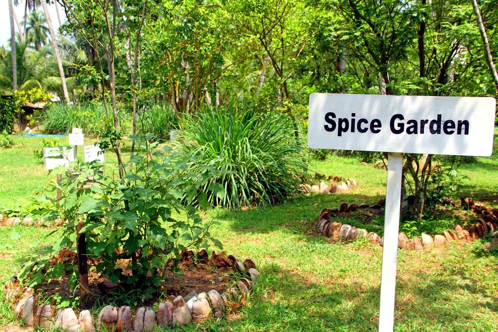 Oreeka - Katunayake Airport Transit Hotels Kültér fotó