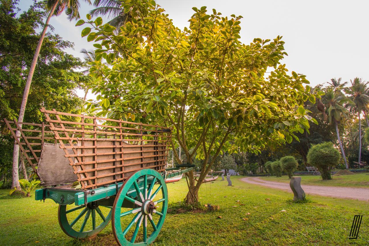 Oreeka - Katunayake Airport Transit Hotels Kültér fotó