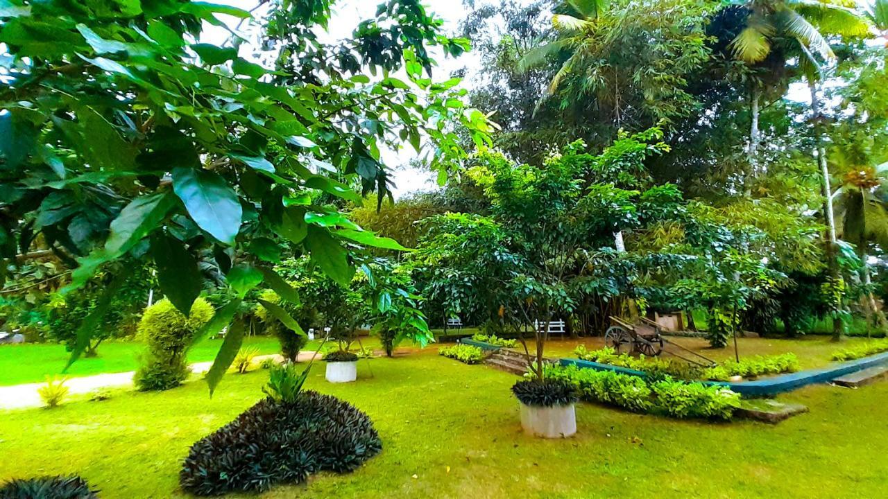 Oreeka - Katunayake Airport Transit Hotels Kültér fotó