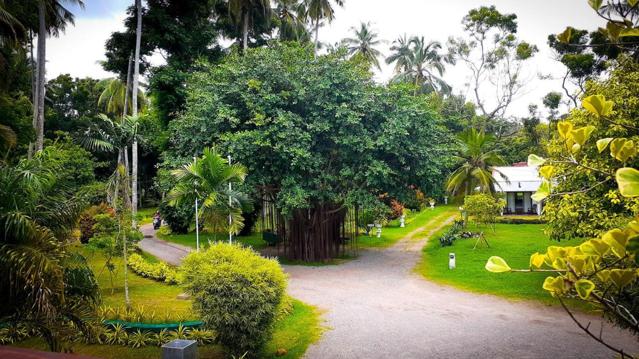 Oreeka - Katunayake Airport Transit Hotels Kültér fotó